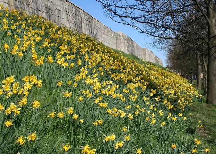 Barbican House Πανσιόν 4*