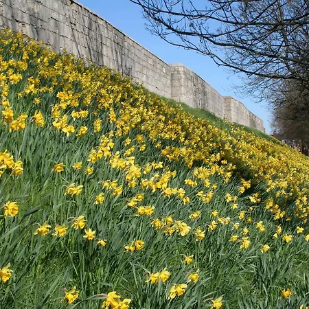 Barbican House Konukevi 4*