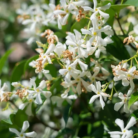 Barbican House 4* يورك