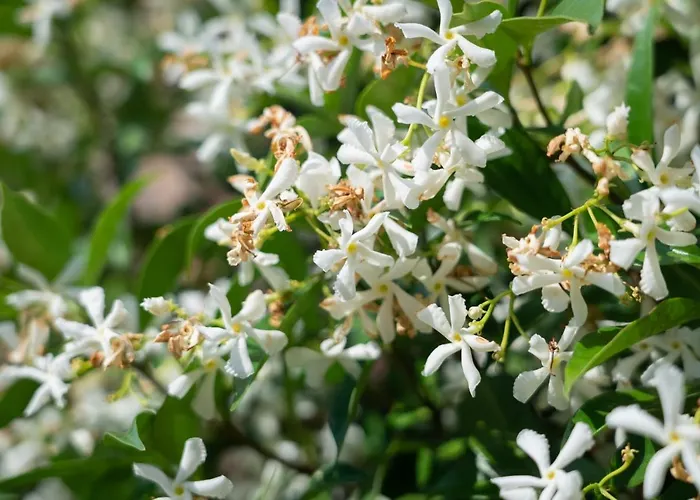 Barbican House 4* York