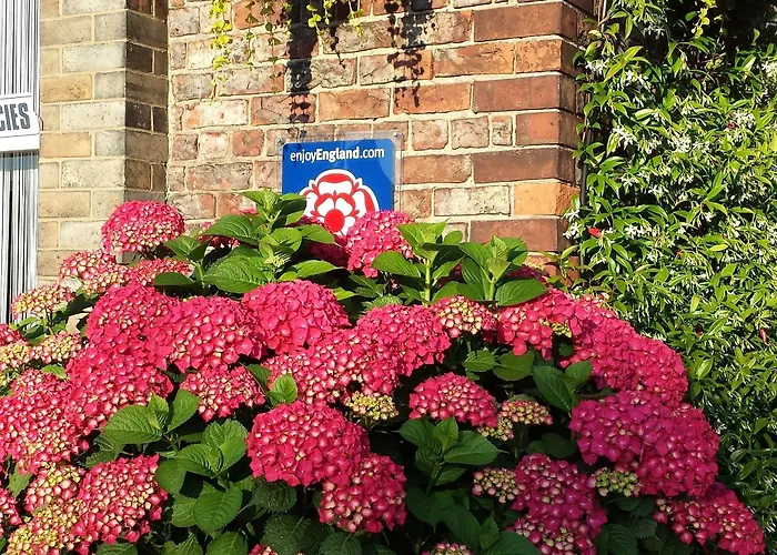 Barbican House Pensjonat